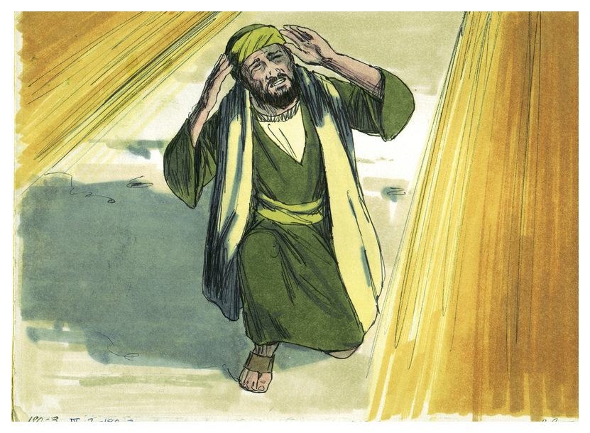 Picture of Saul